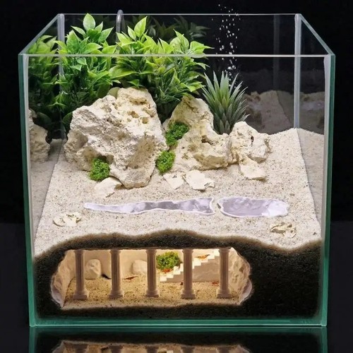 Caverna sotterranea acquario - sotterranea,