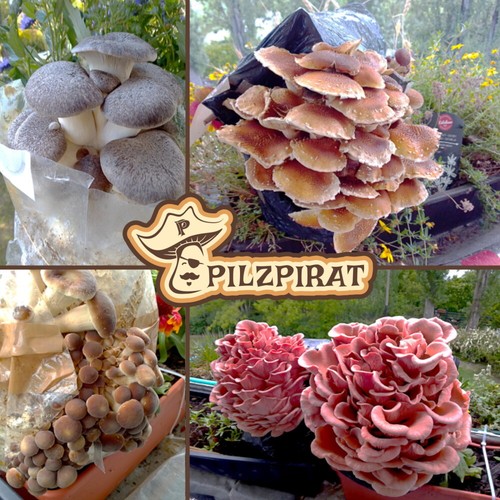 Flumy coltivazione funghi - coltivazione,