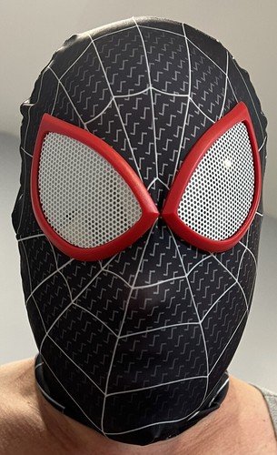 Nuovo costume spiderman - nuovo,