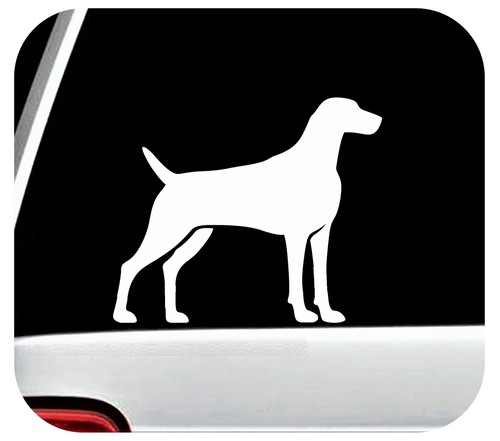Weimaraner vinile decalcomania - weimaraner,