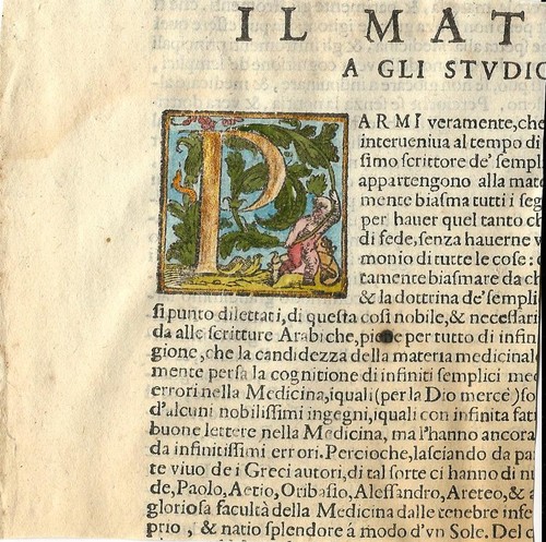 Stampa antica capolettera - stampa,