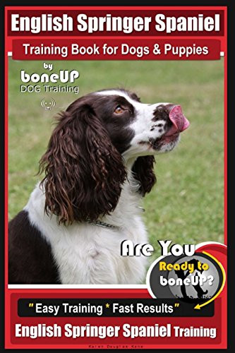 English springer spaniel - english,