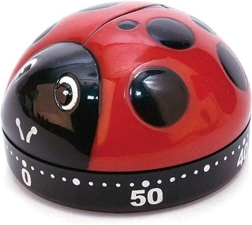 Timer cucina lady bug - cucina,
