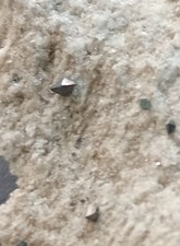 ANATASIO Piastrina Ricca Di Cristalli Formazza Minerale collezione