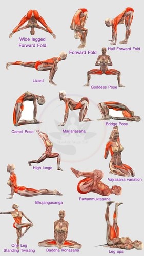 Yoga poses illustrazione - yoga,