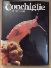 CONCHIGLIE DI TUTTI I MARI