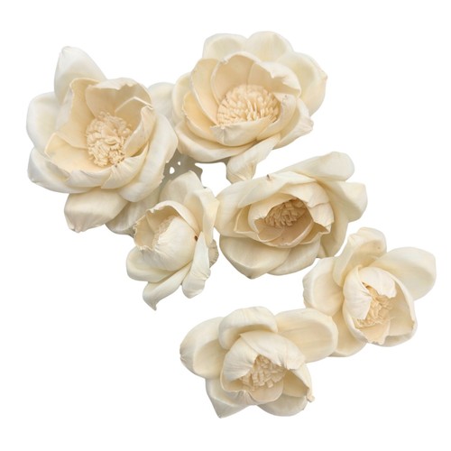 5193 pk6 sola assortimento - assortimento, di