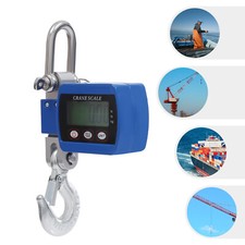 Bilancia digitale per gru