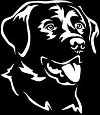 Adesivo LABRADOR - adesivo