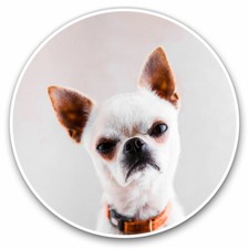 2 adesivi in vinile 20 cm - Moody Chihuahua cane cucciolo regalo cool #21509