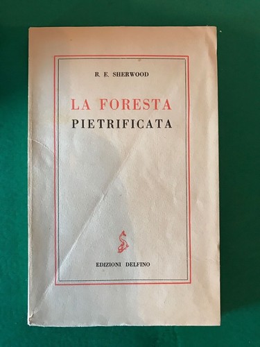 Foresta pietrificata - foresta,
