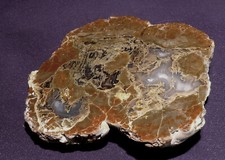 Doppio Thunderegg, Con
