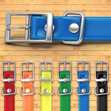 Cinghia collare 3/4" per