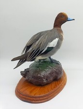 FISCHIONE (Mareca penelope)