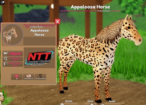 Wild horse islands - wild,
