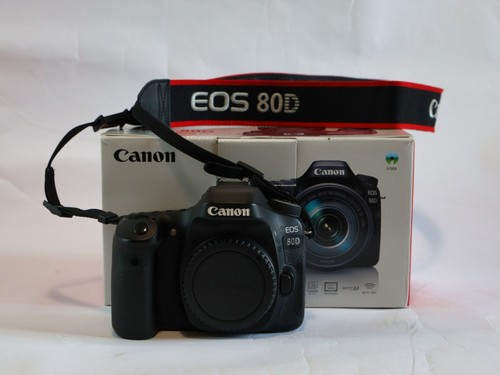Canon eos 80d obiettivo - 80d, +