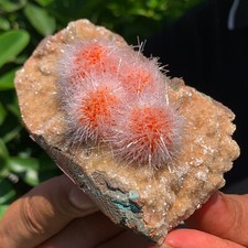 245G tarassaco indiano zeolite cristallo di quarzo a grappolo esemplare minerale