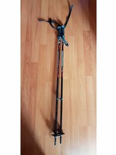 Rossignol Coppia bastoncini