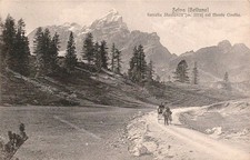 ec740 cartolina  selva