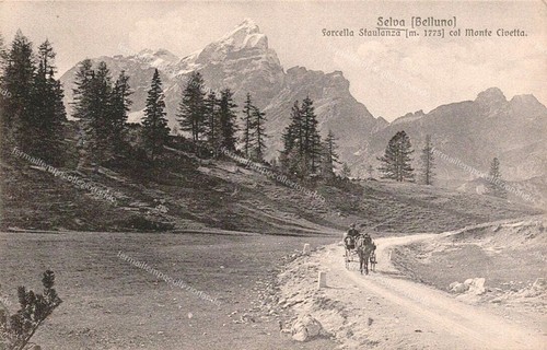 Ec740 cartolina selva - ec740,