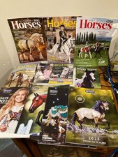 Breyer (JAH)  Just About