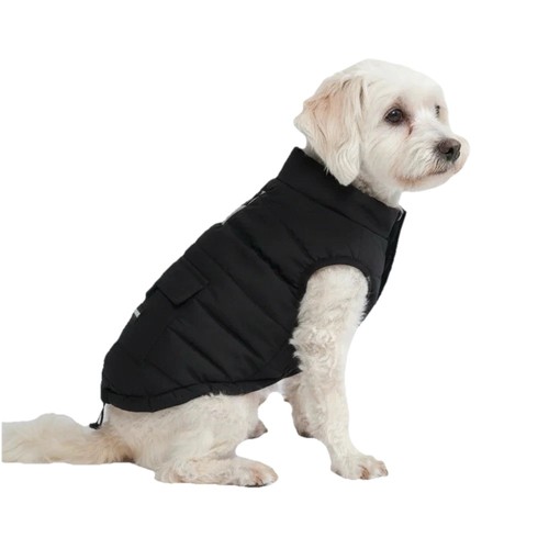 Cane vestiti cappotto - cane,