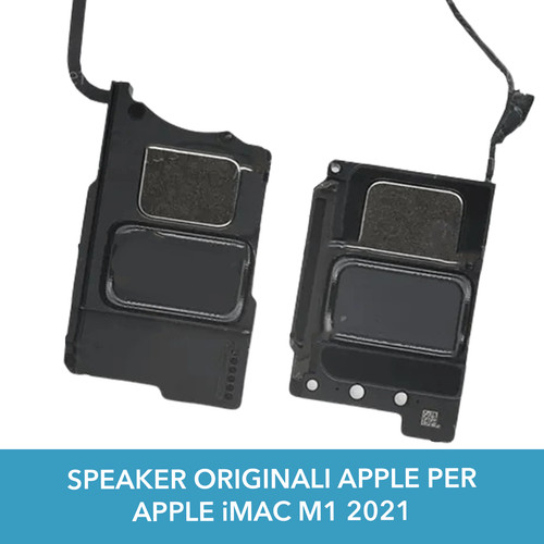 Altoparlanti destro e - ,
