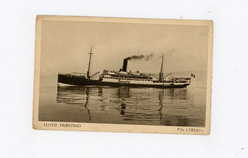 Cartolina lloyd triestino - lloyd,