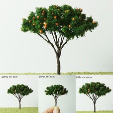 Modello Alberi O Scala