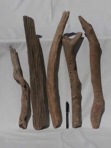 Legno mare 59cm bastone - legno, di