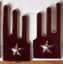 Mostrine  1° Nizza Cavalleria