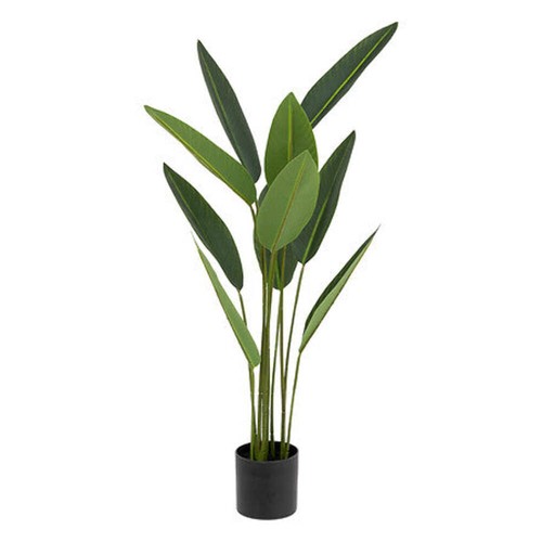 Pianta artificiale strelitzia