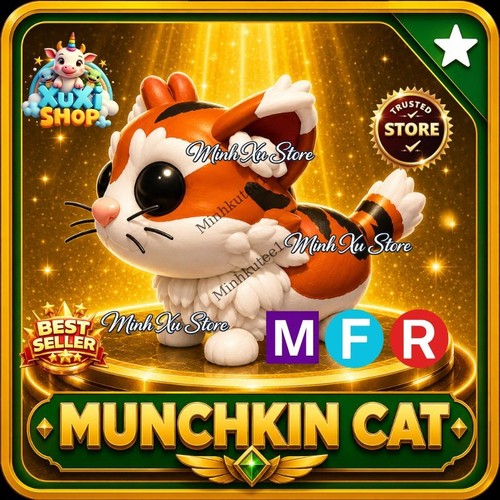 Gatto munchkin - 🐱,