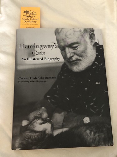 Hemmingway cats an - hemmingway’s,
