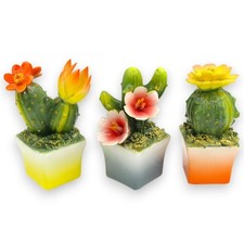 Pianta grassa in vasetto, pregiata ceramica, h 14 cm ca (1Unità) - modelli e dec