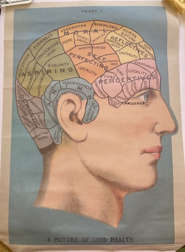 Poster frenologia vintage - frenologia,