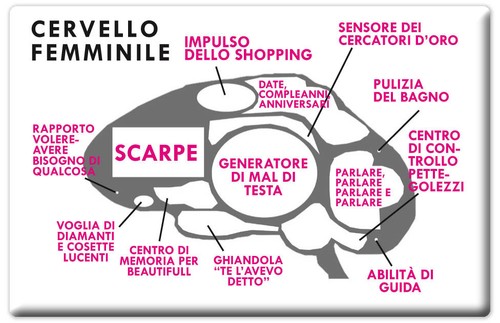 Magnete rettangolare calamita - magnete,