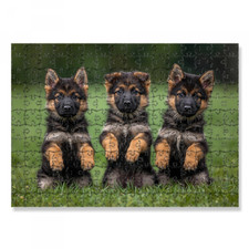 ✅PUZZLE 30x40 CANI 192 PEZZI RAGAZZI ADULTI IDEA REGALO ORIGINALE COMPLEANNO✅