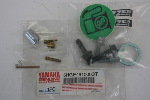 Kit catalitico per - , marmitta