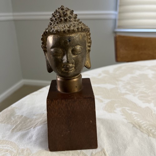 Testa buddha base in - testa,