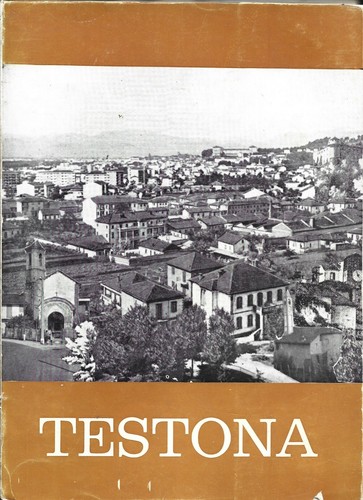 Cuniberti testona - cuniberti,