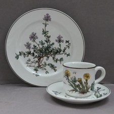 Villeroy & Boch Botanica tazza