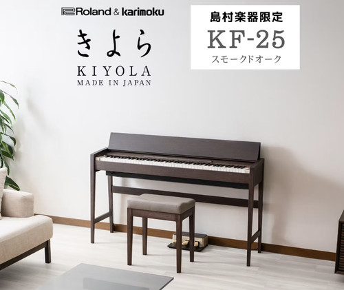 Pianoforte elettrico roland - pianoforte,