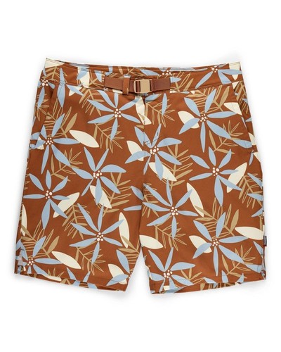 Simms seamount short - simms,