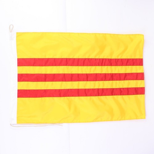 Replica svn flag 3 - svn,
