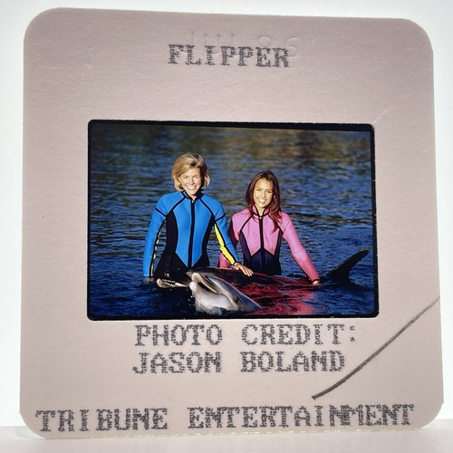 Flipper diapositiva 35mm - , anni