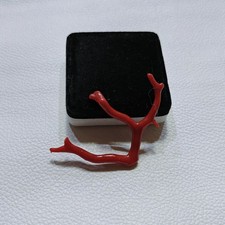 Corallo rosso naturale ramo