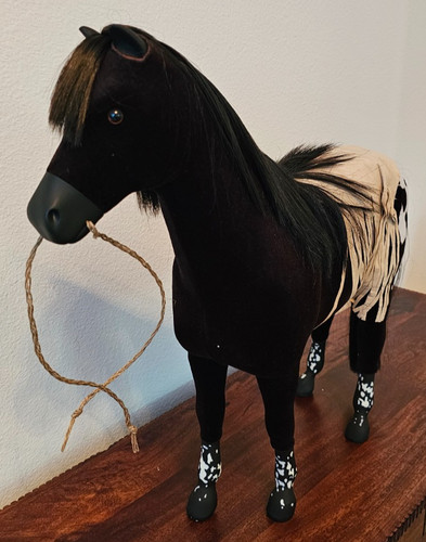 American girl kaya mare - american,