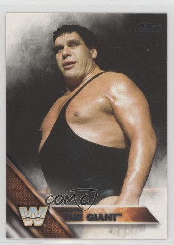 2016 topps wwe andre - 2016,