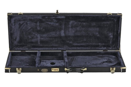 Chitarra elettrica astuccio - chitarra,